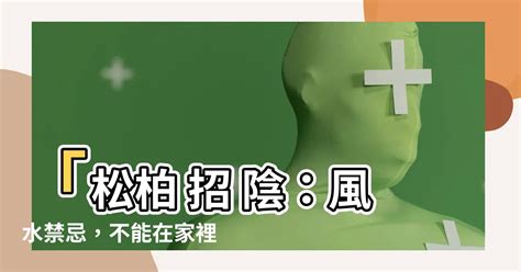 松柏招陰|【風水特輯】以為空氣好清新？家中擺錯植物恐招陰！。